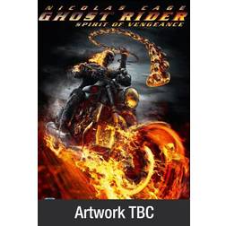 Ghost Rider: Spirit of Vengeance [DVD]